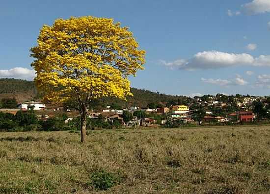 ATALIA-MG-ATALIA E SUAS PAISAGENS-FOTO:RENATO A.TEIXEIRA - ATALIA - MG