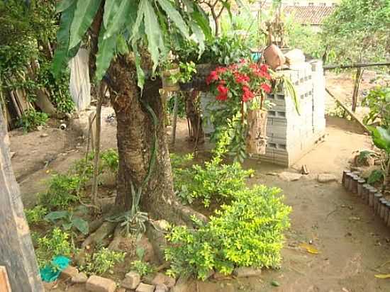 QUINTAL DA MINHA CASA-FOTO:NELIO NERES - AVA DO JACINTO - MG