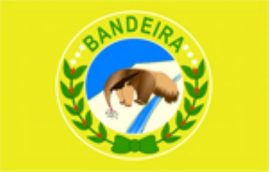 BANDEIRA DE BANDEIRA - BANDEIRA - MG