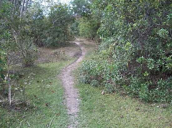 NATUREZA EM BARROCO-FOTO:JEFERSONDMG  - BARROCO - MG