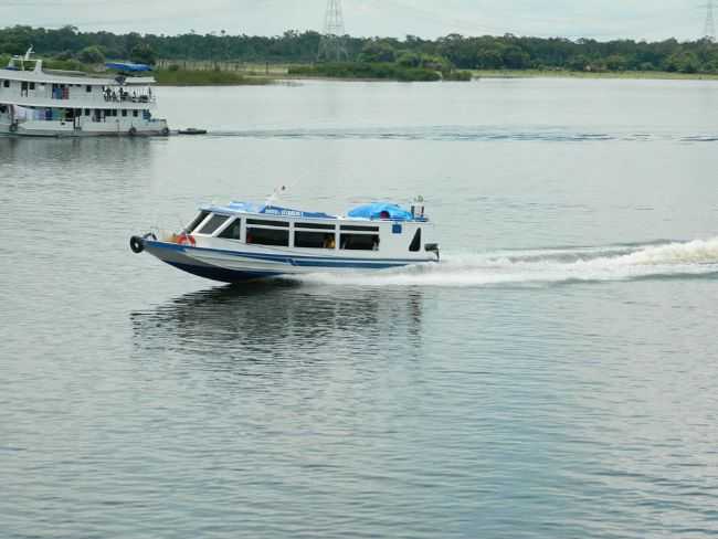 AMAZONAS, POR JONE UCHA CARNEIRO - URUCAR - AM