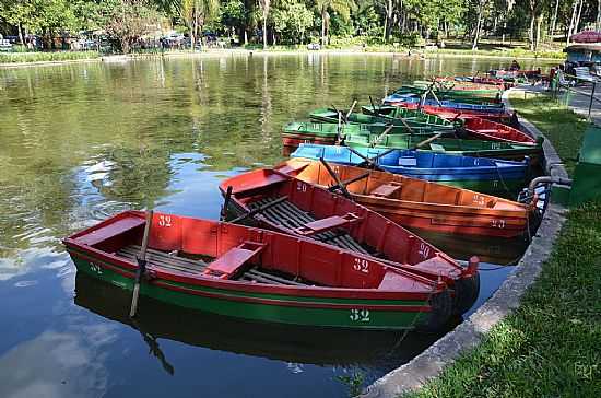 BELO HORIZONTE-MG-LAGO DO PARQUE MUNICIPAL AMRICO RENN GIANNE-FOTO:PAULO YUJI TAKARADA - BELO HORIZONTE - MG
