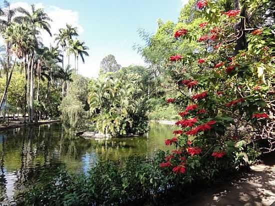 BELO HORIZONTE-MG-LAGO NO PARQUE MUNICIPAL AMRICO RENN GIANNE-FOTO:PAULO YUJI TAKARADA - BELO HORIZONTE - MG