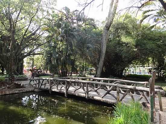 BELO HORIZONTE-MG-PONTE NO LAGO DO PARQUE MUNICIPAL AMRICO RENN GIANNE-FOTO:PAULO YUJI TAKARADA - BELO HORIZONTE - MG