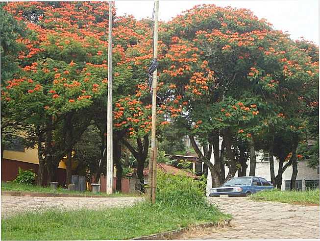 PRAA DA PREFEITURA, POR JAIME HENRIQUE PARREIRAS - BELO VALE - MG