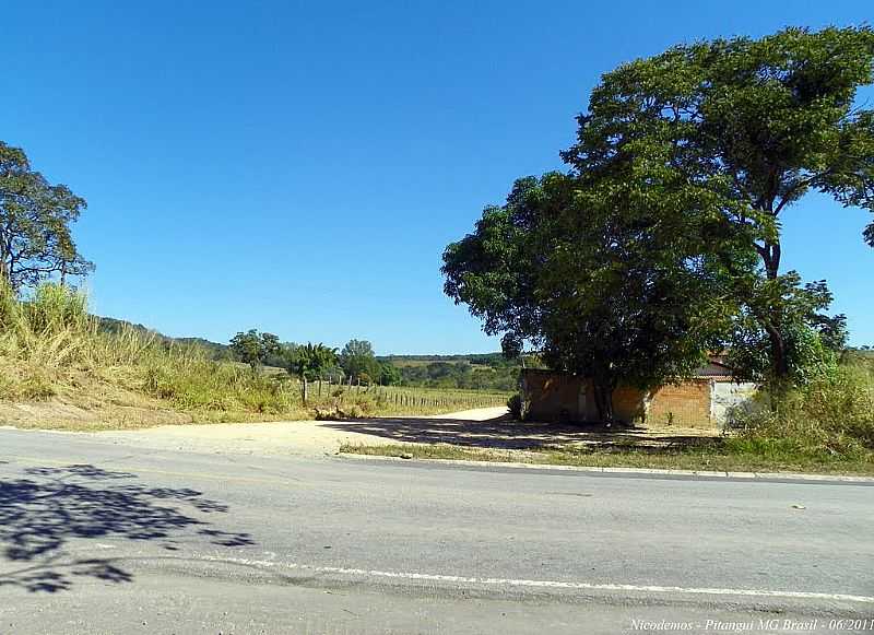 BOA VISTA DE MINAS-MG-ESTRADA DE ACESSO-FOTO:NICODEMOS ROSA - BOA VISTA DE MINAS - MG