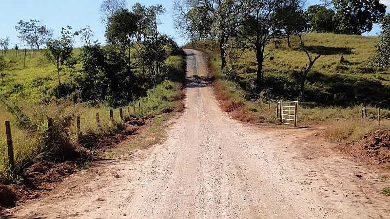 BOA VISTA DE MINAS-MG-ESTRADA PARA PONTE ALTA-FOTO:RMULO DUARTE - BOA VISTA DE MINAS - MG