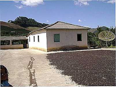 TERREIRO DE CAF-FOTO:ADILSON MATTOS  - BOM JESUS DO DIVINO - MG
