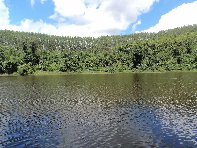 BOM JESUS DO GALHO-MG-LAGOA DA LINGUIA-FOTO:ROLDAO M  - BOM JESUS DO GALHO - MG