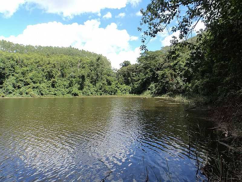BOM JESUS DO GALHO-MG-LAGOA DA LINGUIA-FOTO:ROLDAO M - BOM JESUS DO GALHO - MG