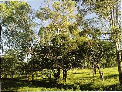 ARREDORES DA CIDADE, POR MARCELO - BOM SUCESSO - MG