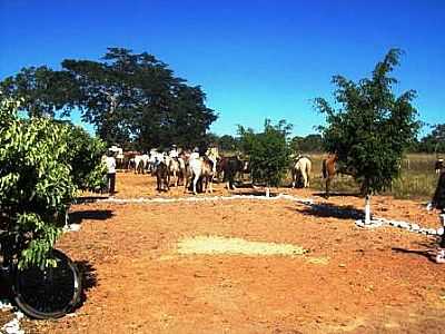 FESTA EM RIACHO DAS 
PEDRAS  - BONFINPOLIS DE MINAS - MG