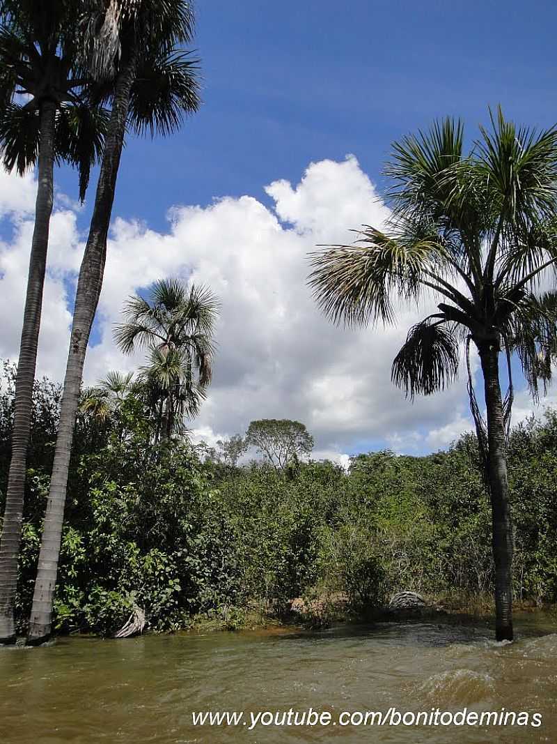 BONITO DE MINAS-MG-LAGO NO BALNERIO DO CATUL-FOTO:DENES MELO  - BONITO DE MINAS - MG