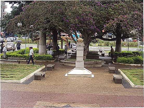 BORDA DA MATA-MG-PRAA DA MATRIZ-FOTO:ALSIBIM - BORDA DA MATA - MG