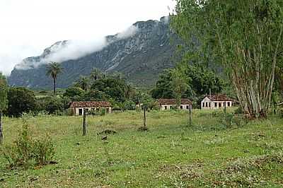 FAZENDA BOA VISTA FOTO
EDUARDO GOMES - BOTUMIRIM - MG