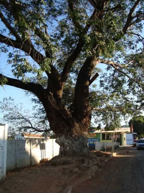 FAMOSO TAMBORIL, POR CARLOS - BURITIZEIRO - MG