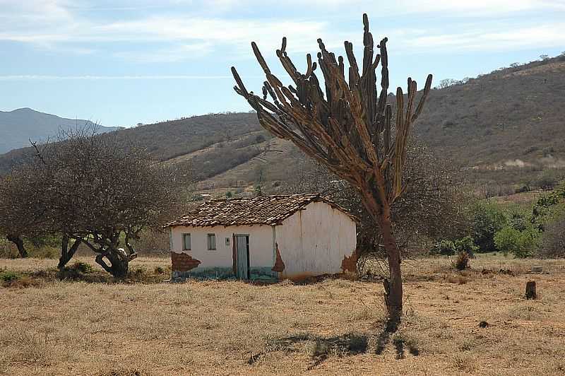 CAATINGA-MG-REA RURAL-FOTO:WWW.FLICKR.COM  - CAATINGA - MG