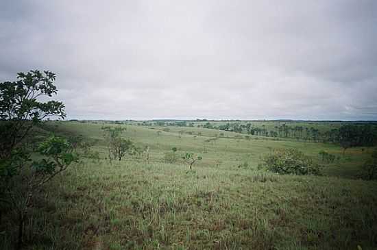 CERRADO-FOTO:ALAN.KARDEC - APOREMA - AP