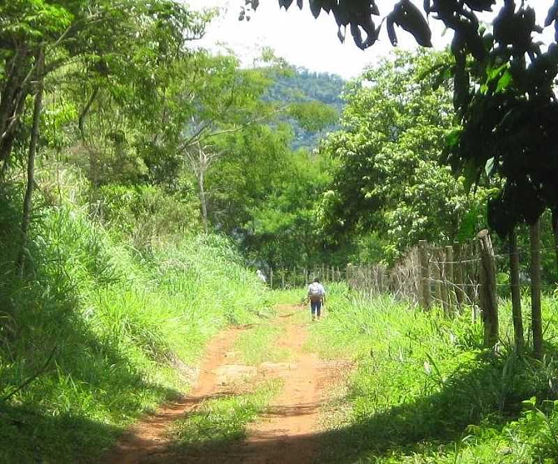 CAIANA-MG-TRILHA NA REGIO-FOTO:JOSE ADAL PEREIRA DE SOUZA - CAIANA - MG