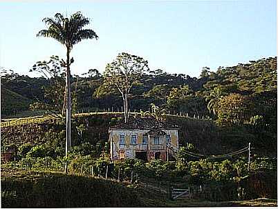 FAZENDA-FOTO:GUI RIOS  - CAJURI - MG