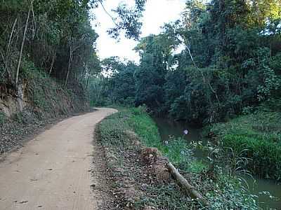 CAMINHO DA USINA DE CAJURI-FOTO:GUI RIOS - CAJURI - MG