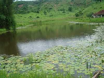 LAGO-FOTO:AMOULAES  - CALIXTO - MG