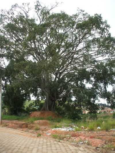 IMPONNCIA!, POR RMC - CAMANDUCAIA - MG