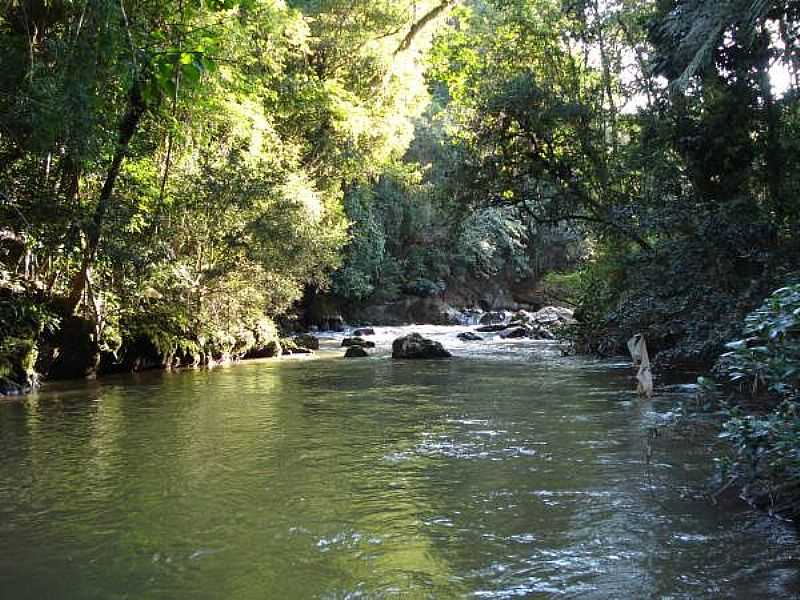 CAMBU-MG-CACHOEIRA DA USINA-FOTO:PEDRO AUGUSTO - CAMBU - MG