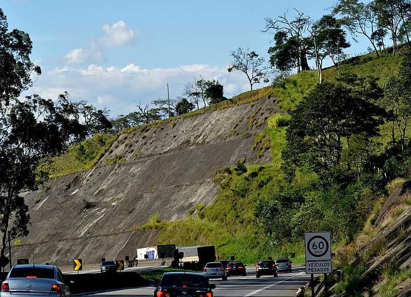 CAMBU-MG-RODOVIA FERNO DIAS BRMG-0420-FOTO:IZEKAMPUS - CAMBU - MG