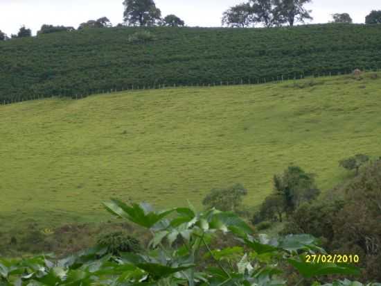 VERDES CAMPOS DE CAMPESTRE, POR ADRIANA OLIVEIRA - CAMPESTRE - MG