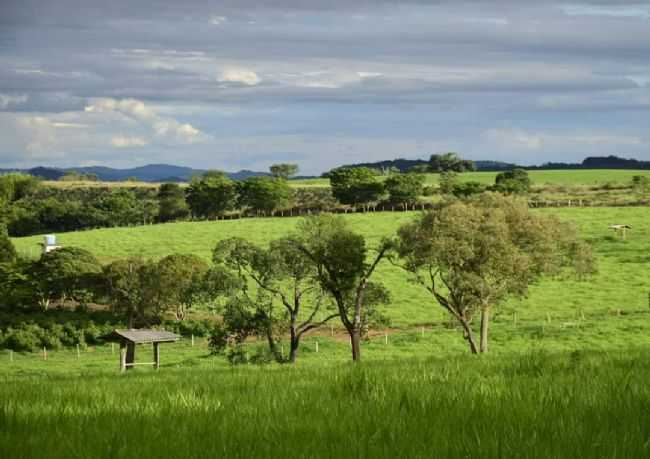 ESTRADA A CAMINHO DO AEROPORTO., POR MAXIMILIANO DOS SANTOS MOREIRA - CAMPO BELO - MG