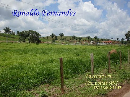 FAZENDA EM CAMPOLIDE-FOTO:RONALDO FERNANDES OL  - CAMPOLIDE - MG