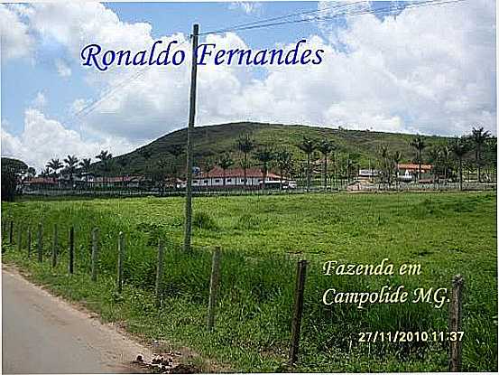 FAZENDA EM CAMPOLIDE-FOTO:RONALDO FERNANDES OL - CAMPOLIDE - MG