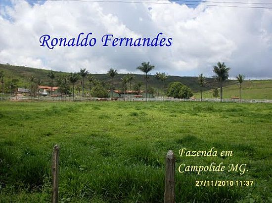 VISTA DE FAZENDA EM CAMPOLIDE-FOTO:RONALDO FERNANDES OL - CAMPOLIDE - MG