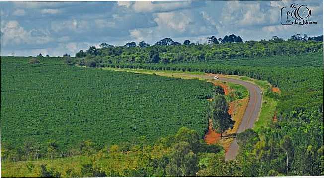 TREVO DE ACESSO A C.ALTOS, POR ERILDO NUNES FRAZO - CAMPOS ALTOS - MG