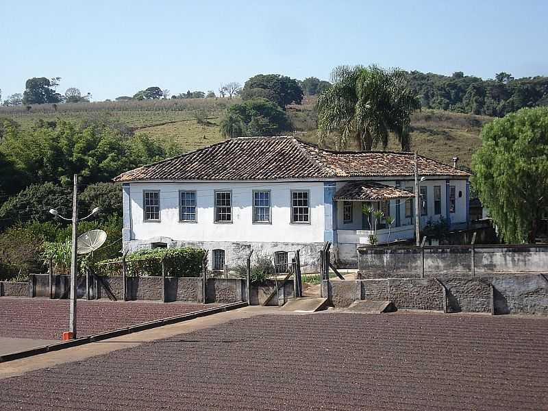 CANA VERDE-MG-FAZENDA SO MATEUS NO POVOADO CERRADINHO-FOTO:VICENTE FREIRE BARBOSA - CANA VERDE - MG