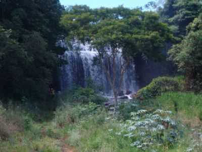 CANPOLIS - CANPOLIS - MG