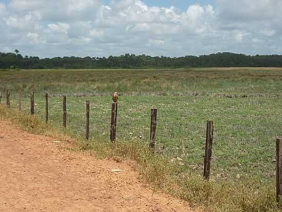 ESTRADA DA PRAIA DO GOIABAL EM CALOENE-FOTO:ELDER FBIO - CALOENE - AP