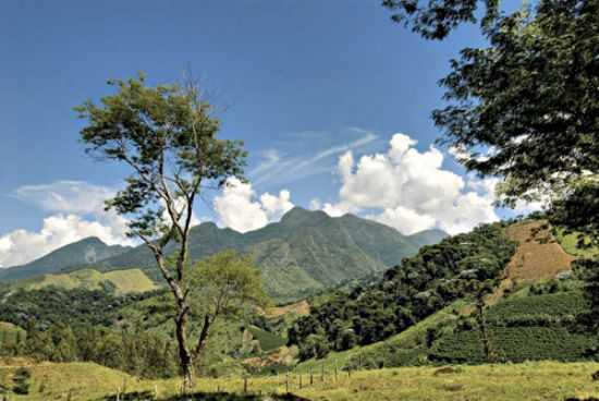 PAISAGEM RURAL, POR JACIRA CORDEIRO - CAPARA - MG