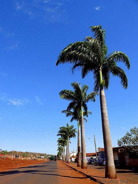 CAPINPOLIS-MG-AVENIDA DE ENTRADA DA CIDADE-FOTO:CARLOS ALBERTO ALVES - CAPINPOLIS - MG