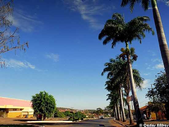 CAPINPOLIS-MG-CHEGANDO NA CIDADE-FOTO:CARLOS ALBERTO ALVES - CAPINPOLIS - MG