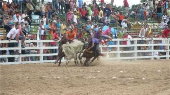 PARQUE DE EXPOSIES TATERSAL , POR WILTON - CAPITO ENAS - MG