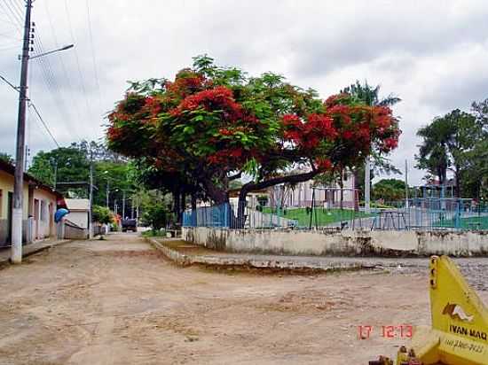 PRAA CENTRAL-FOTO:GENESIO TEZZA PEREIR [PANORAMIO] - CARLOS ALVES - MG