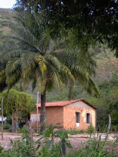 CASA NA TRIBO PATAX, POR MAURCIO AMARAL MENEZES - CARMSIA - MG