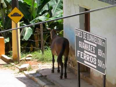 PONTE, POR MAURCIO AMARAL MENEZES - CARMSIA - MG