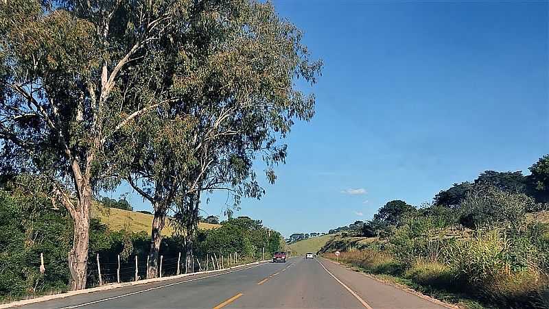 CARMO DE MINAS-MG-RODOVIA PRXIMA  CIDADE-FOTO:PAULO MAURICIO RIBEIRO - CARMO DE MINAS - MG