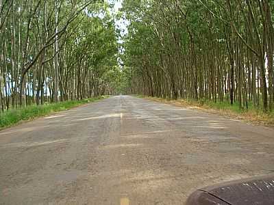 ACESSO  CARMO DO PARANABA-FOTO:GEOVANNI SOUZA BARBO  - CARMO DO PARANABA - MG