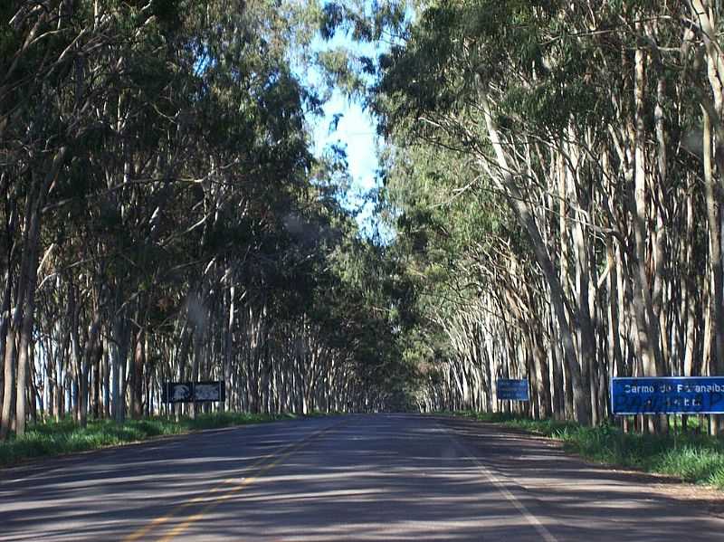 ENTRADA DA CIDADE-FOTO:NEIDE OLIVEIRA  - CARMO DO PARANABA - MG