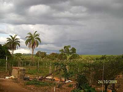 FAZENDA PARAISO-FOTO:JCANTUNESCP  - CARMO DO PARANABA - MG