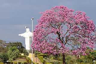 ENTRADA DA CIDADE-FOTO:ANGELO MARCONDES DE   - CARNEIRINHO - MG